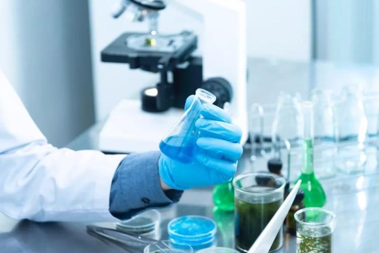 Innovation and R&D