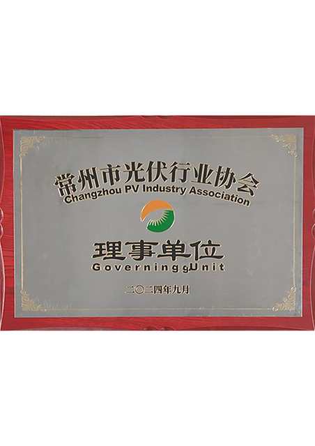 Chairman of Changzhou Photovoltaic Industry Association